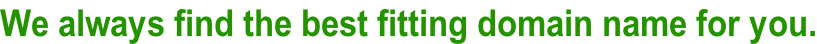 We always find the best fitting domain name for you.